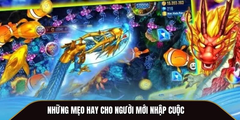 Những mẹo hay cho người mới nhập cuộc